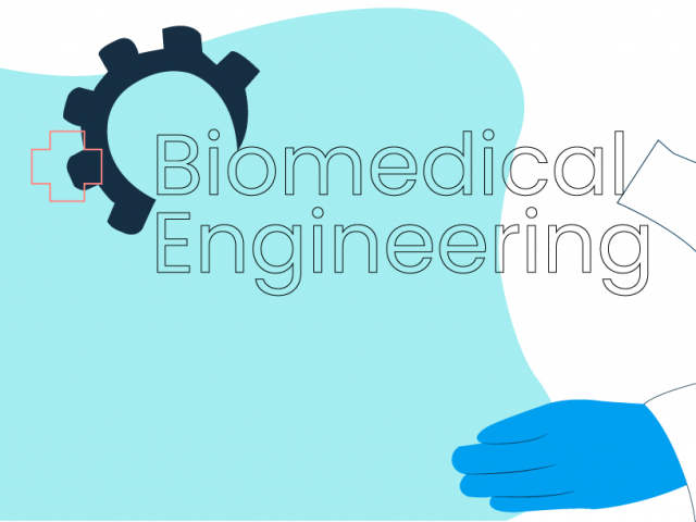 study in germany- Biomedical Engineering in Germany