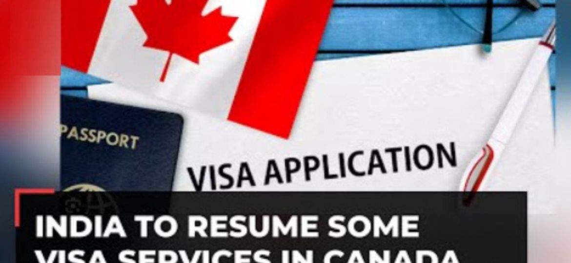 visa services