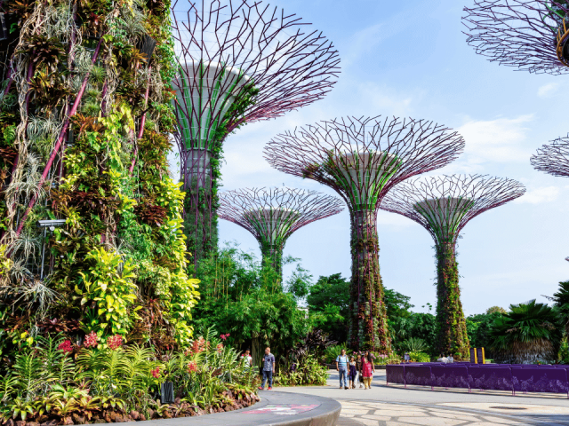 Study abroad in Singapore