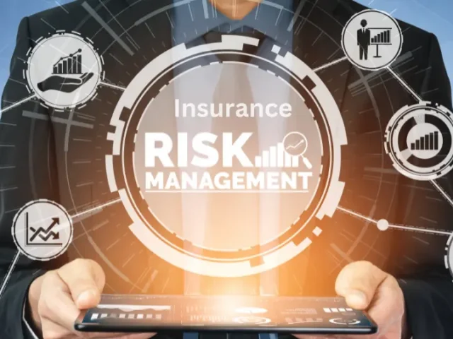 Insurance and Risk Management