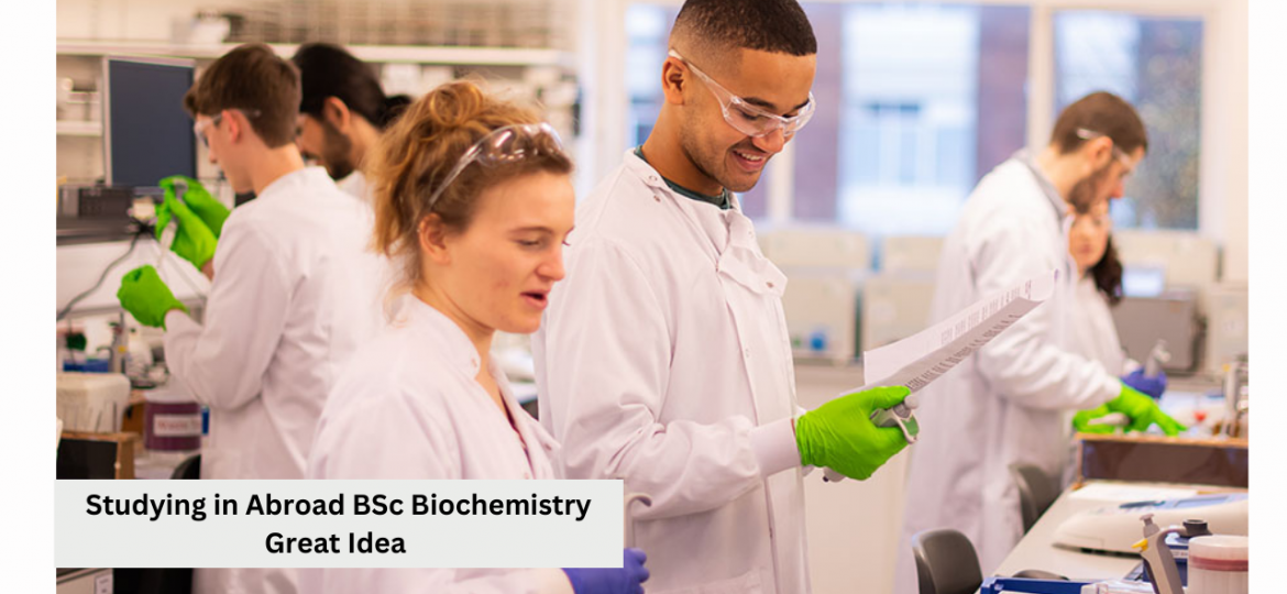 BSc Biochemistry