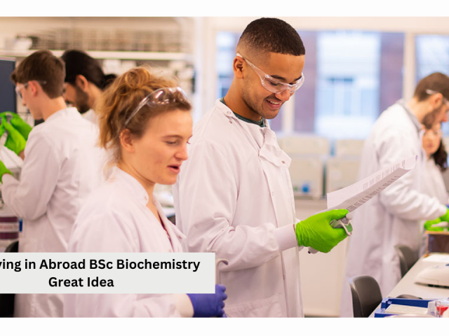 BSc Biochemistry